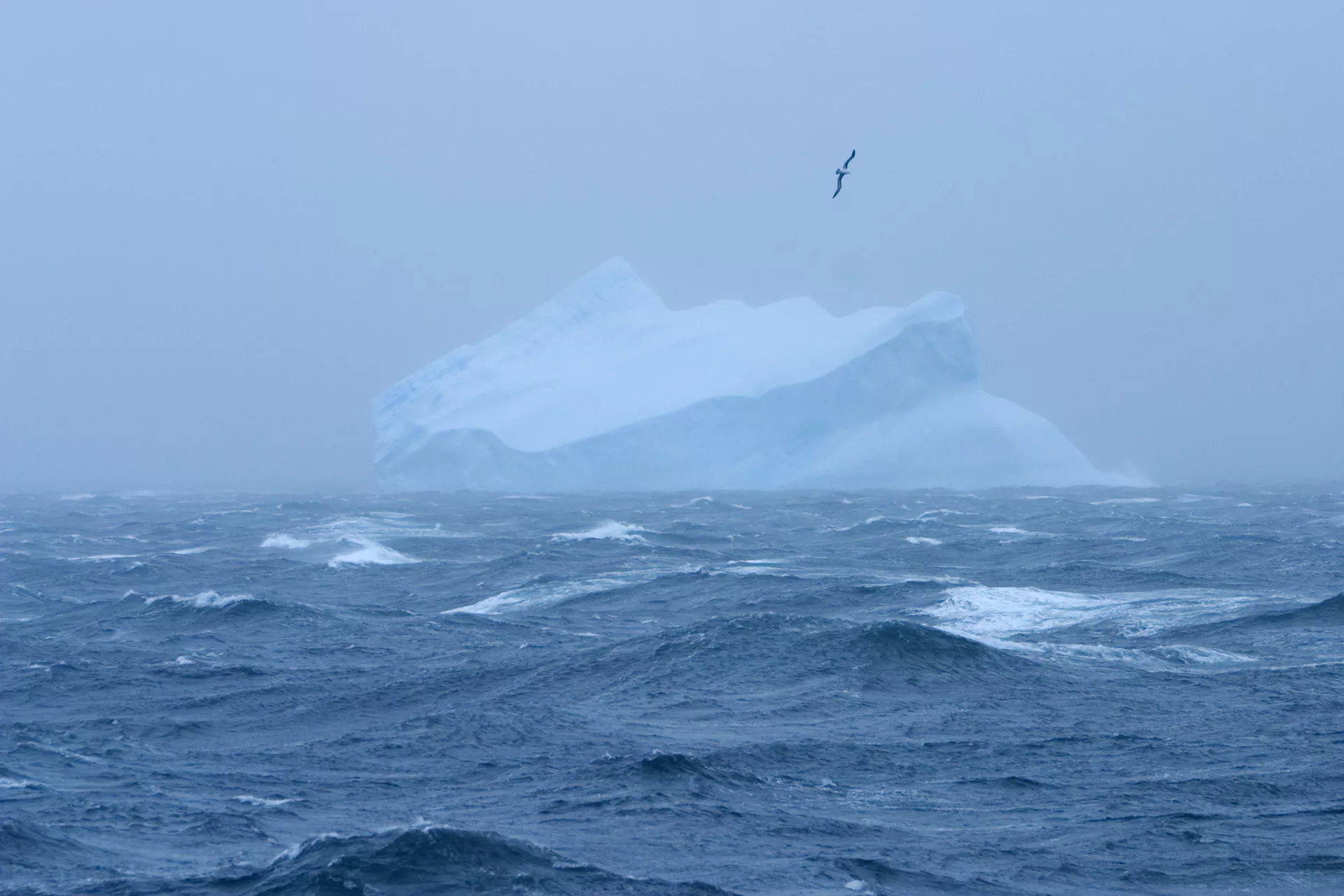 Southern Ocean